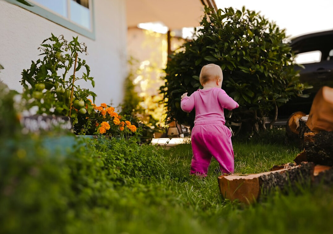 beginner walking in nature